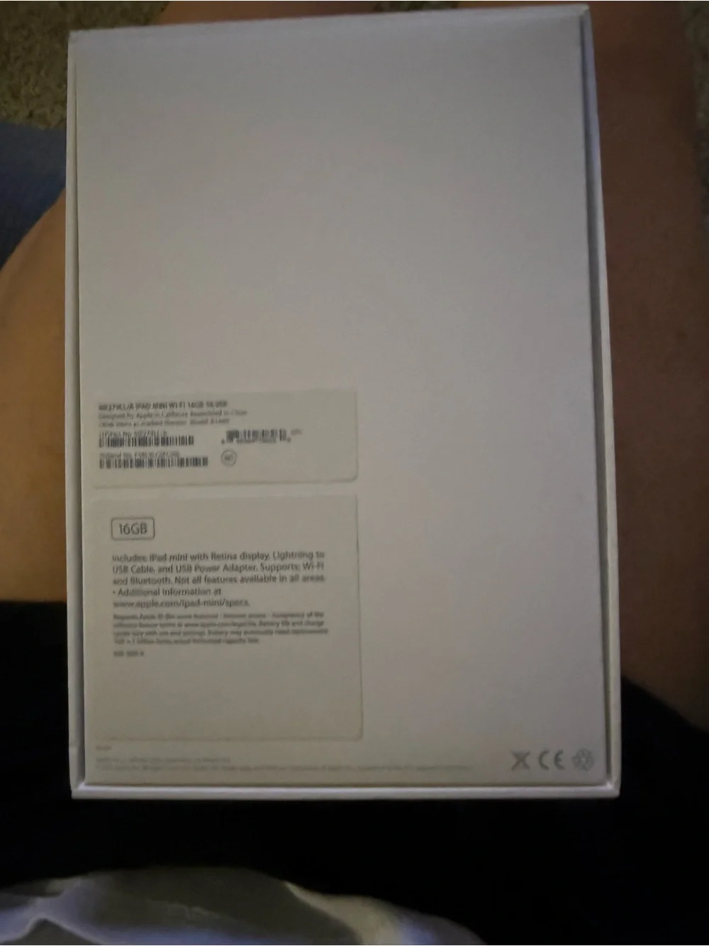 Mini iPad with Accessories
